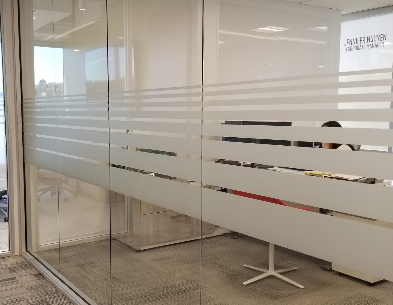 Frosted Glass Door with Fix Panel - image 1